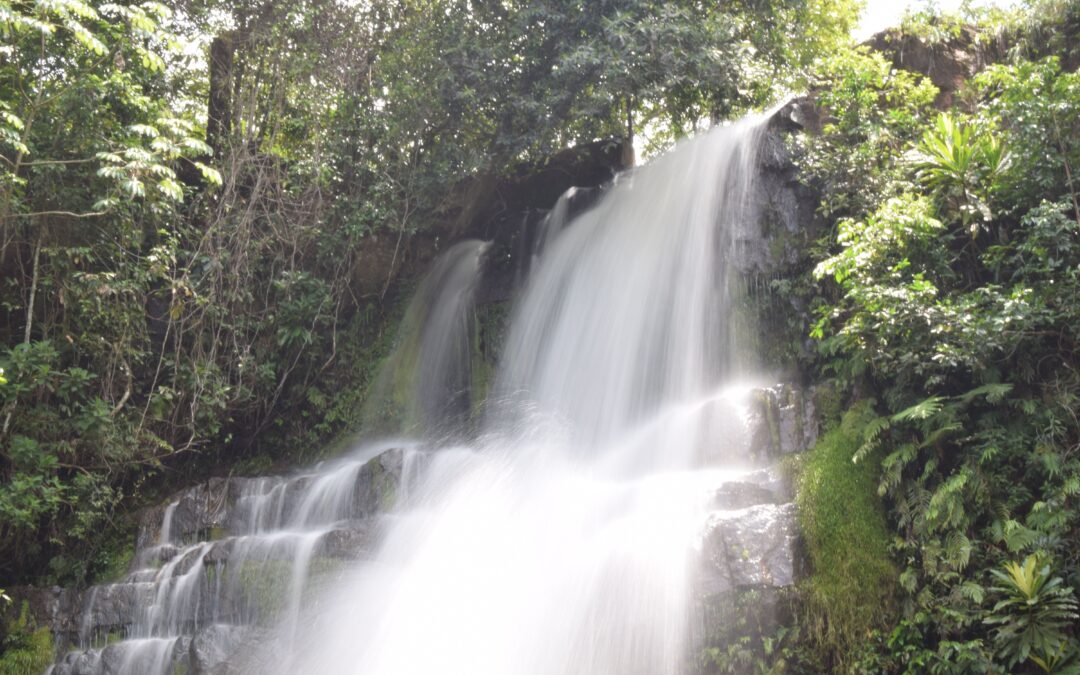 Chasing Waterfalls, Fairies, and the Way Home